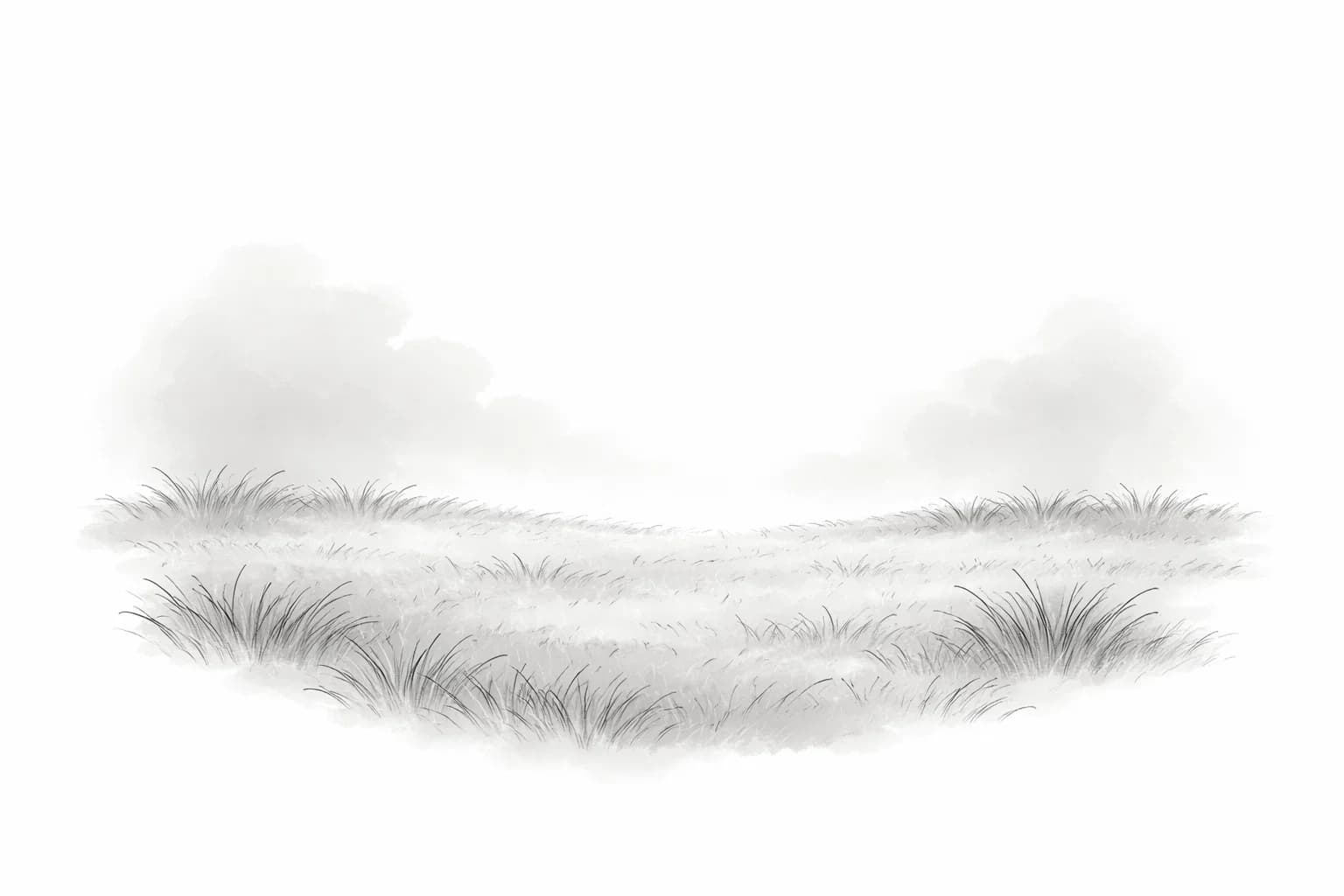 Illustration of a meadow